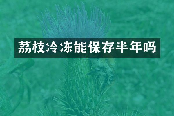 荔枝冷冻能保存半年吗