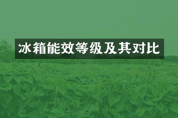 冰箱能效等级及其对比