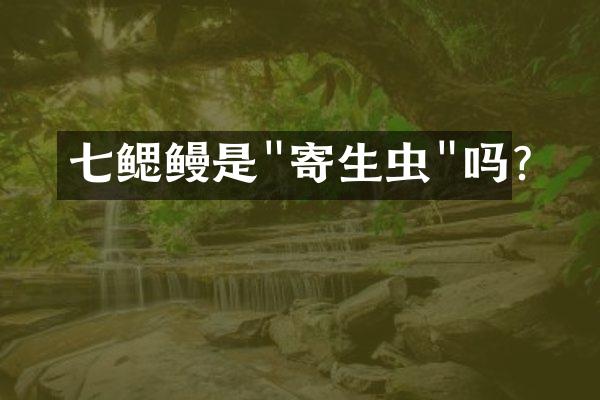七鳃鳗是"寄生虫"吗?