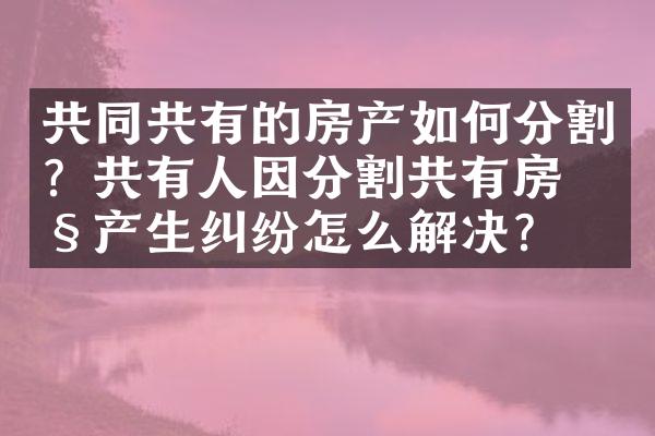 共同共有的房产如何分割？共有人因分割共有房产产生纠纷怎么解决？
