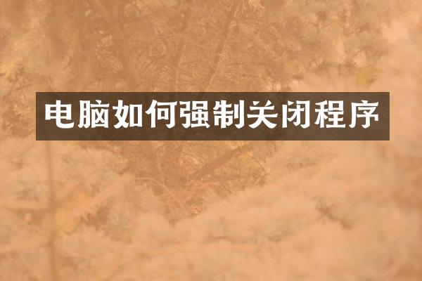 电脑如何强制关闭程序