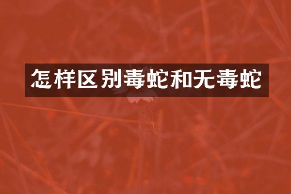 怎样区别毒蛇和无毒蛇