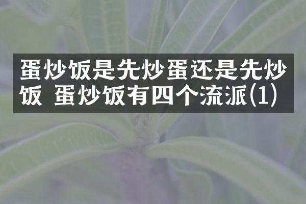蛋炒饭是先炒蛋还是先炒饭 蛋炒饭有四个流派(1)