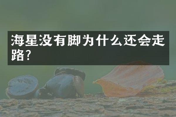 海星没有脚为什么还会走路？