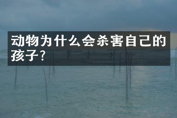 动物为什么会杀害自己的孩子?