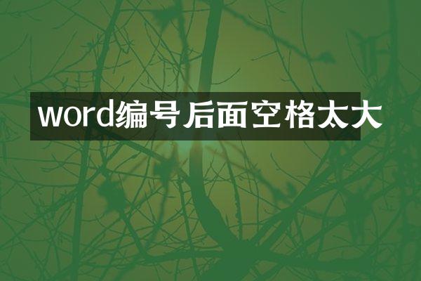 word编号后面空格太大