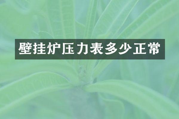 壁挂炉压力表多少正常