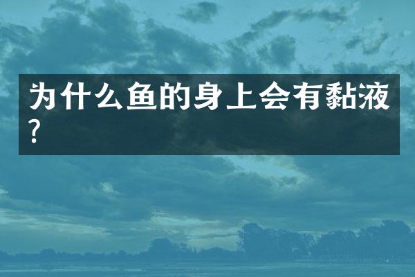 为什么鱼的身上会有黏液？