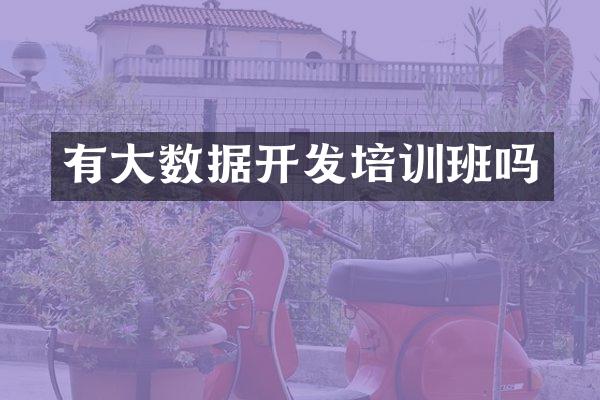 有大数据开发培训班吗