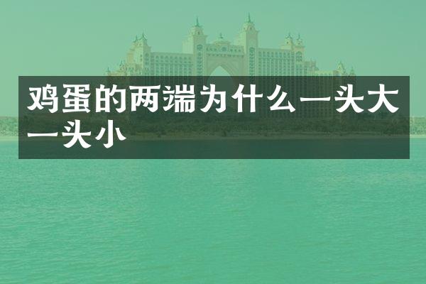 鸡蛋的两端为什么一头大一头小