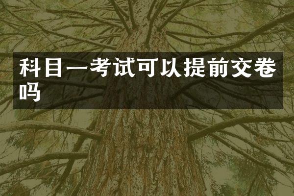 科目一考试可以提前交卷吗