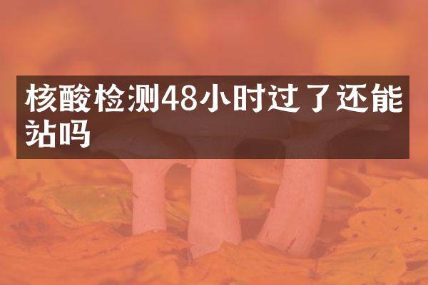 核酸检测48小时过了还能出站吗