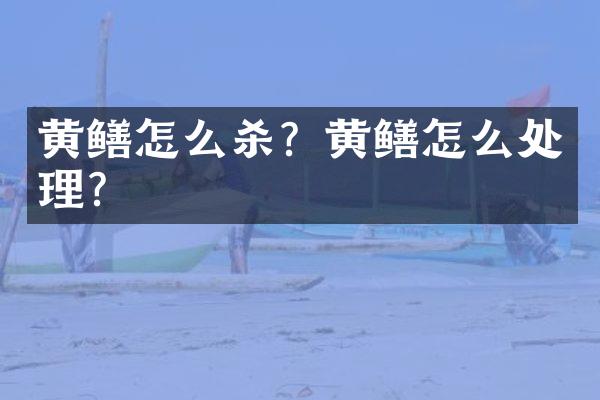 黄鳝怎么杀？黄鳝怎么处理？