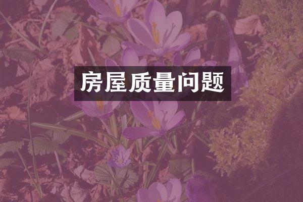房屋质量问题