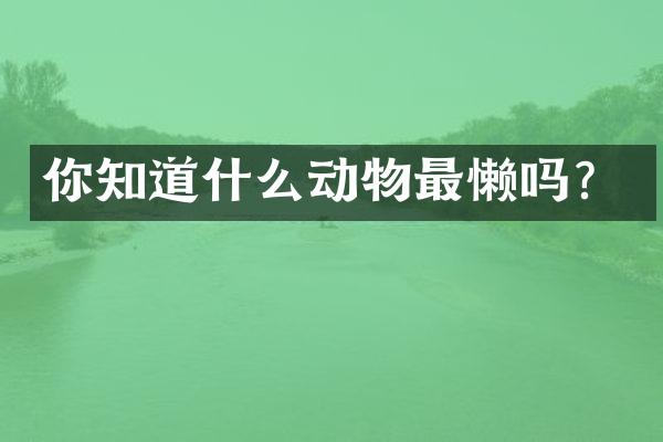 你知道什么动物最懒吗？