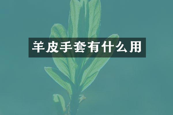 羊皮手套有什么用