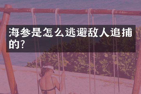海参是怎么逃避敌人追捕的？