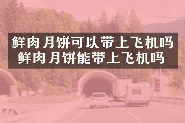 鲜肉月饼可以带上飞机吗 鲜肉月饼能带上飞机吗