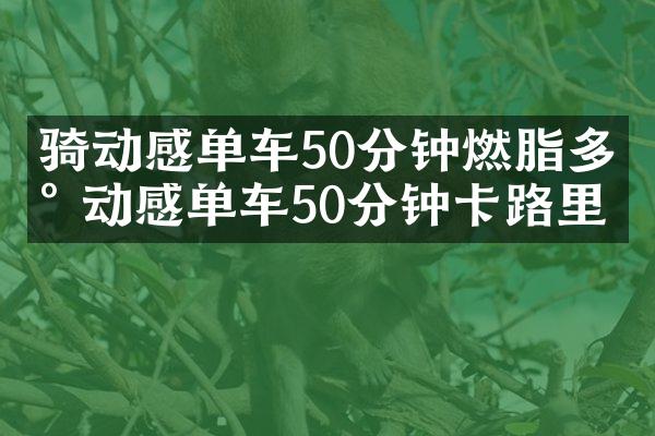 骑动感单车50分钟燃脂多少 动感单车50分钟卡路里