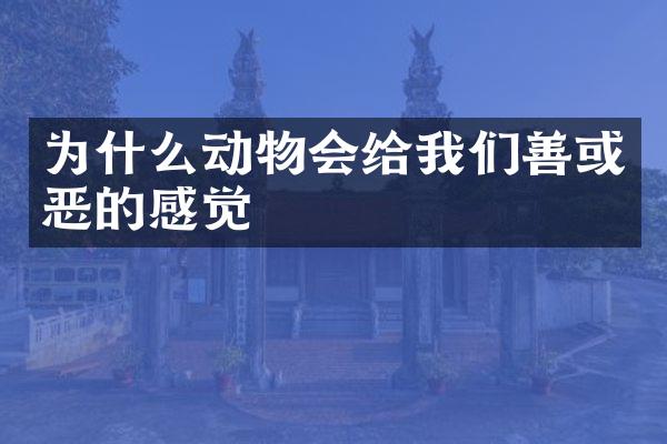 为什么动物会给我们善或恶的感觉
