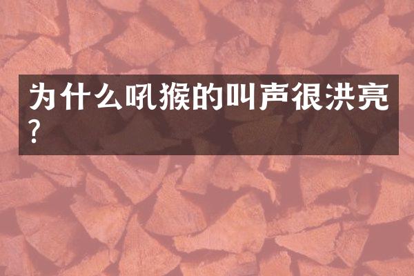为什么吼猴的叫声很洪亮?
