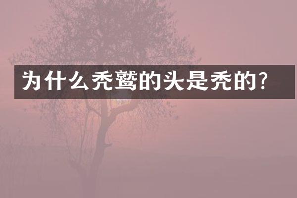 为什么秃鹫的头是秃的？