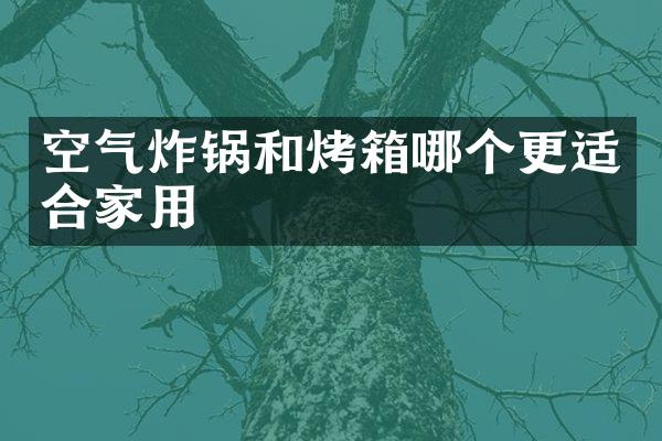 空气炸锅和烤箱哪个更适合家用