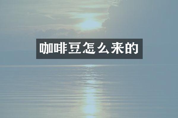 咖啡豆怎么来的