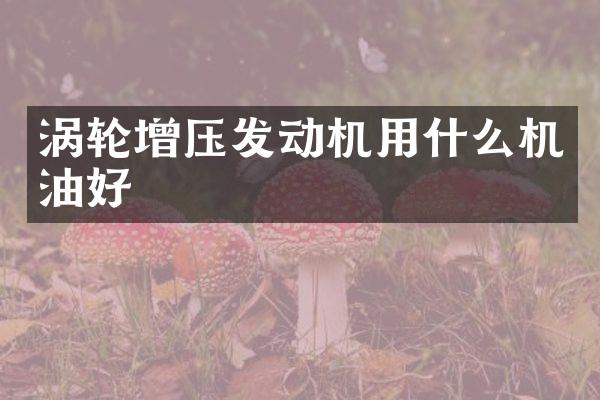 涡轮增压发动机用什么机油好