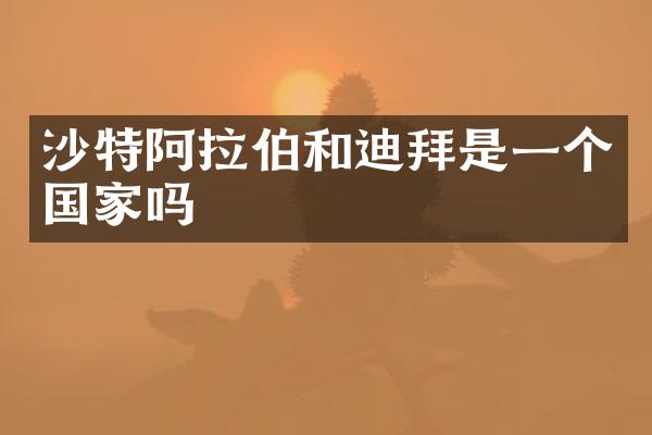 沙特阿拉伯和迪拜是一个国家吗