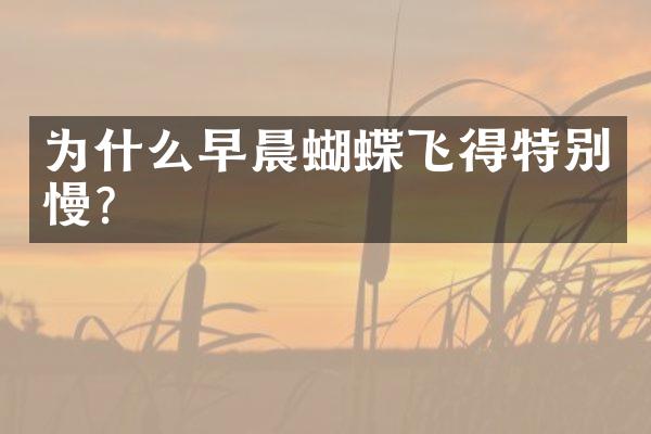 为什么早晨蝴蝶飞得特别慢?
