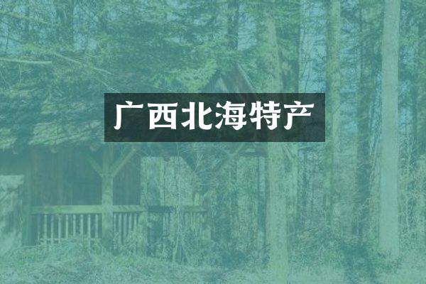 广西北海特产