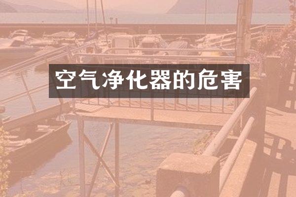 空气净化器的危害