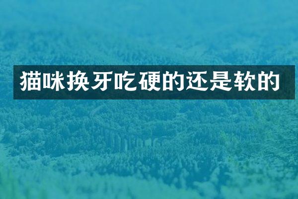 猫咪换牙吃硬的还是软的