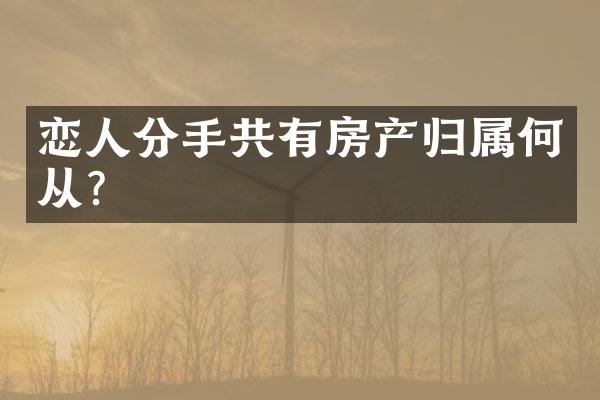恋人分手共有房产归属何从?