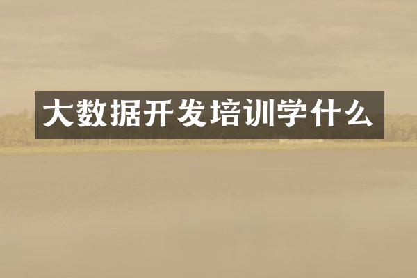 大数据开发培训学什么