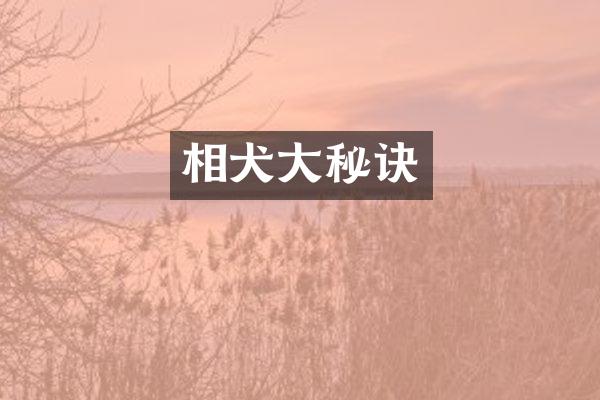 相犬大秘诀