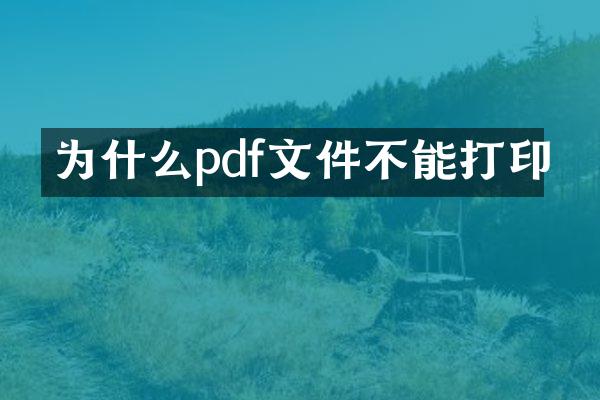 为什么pdf文件不能打印