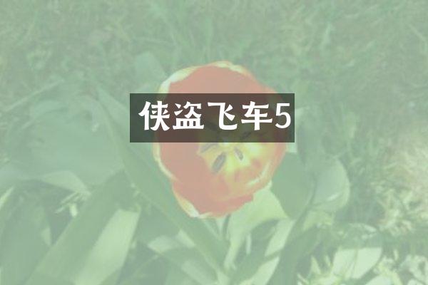 侠盗飞车5