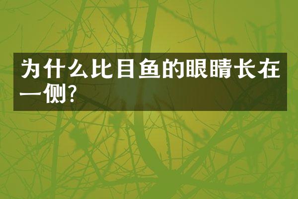 为什么比目鱼的眼睛长在一侧?