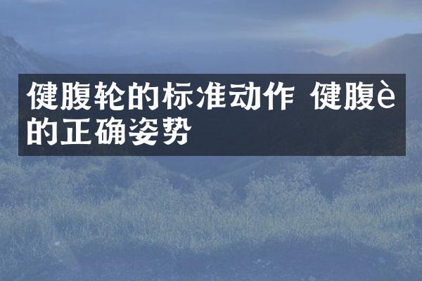 健腹轮的标准动作 健腹轮的正确姿势