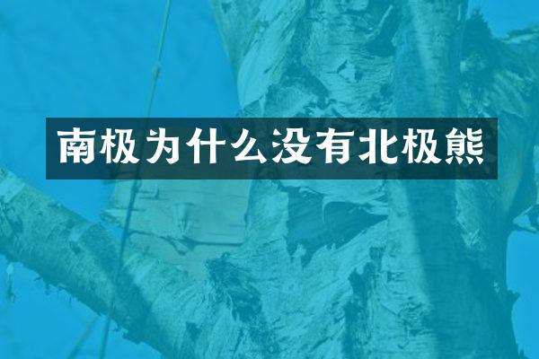 南极为什么没有北极熊
