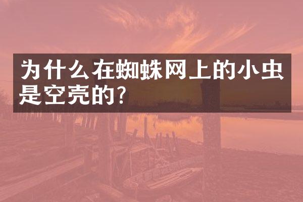 为什么在蜘蛛网上的小虫是空壳的？