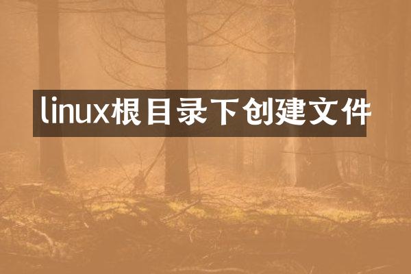 linux根目录下创建文件