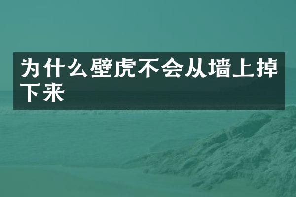 为什么壁虎不会从墙上掉下来