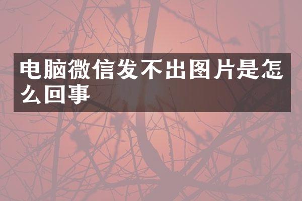 电脑微信发不出图片是怎么回事