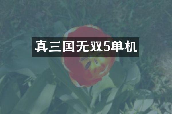 真三国无双5单机