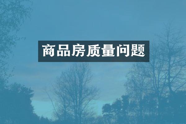 商品房质量问题