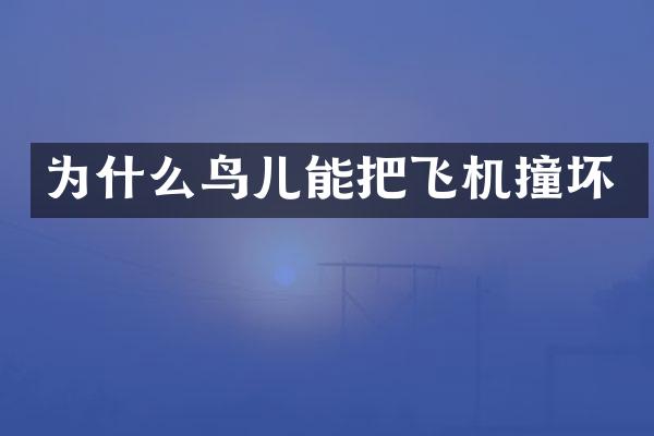 为什么鸟儿能把飞机撞坏