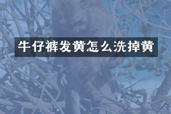 牛仔裤发黄怎么洗掉黄